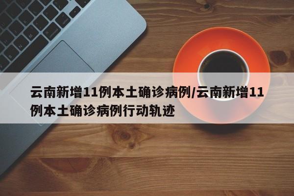 云南新增11例本土确诊病例/云南新增11例本土确诊病例行动轨迹