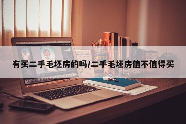有买二手毛坯房的吗/二手毛坯房值不值得买