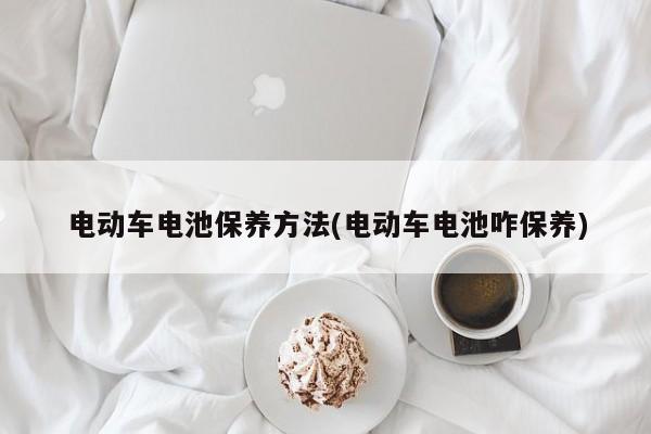 电动车电池保养方法(电动车电池咋保养)