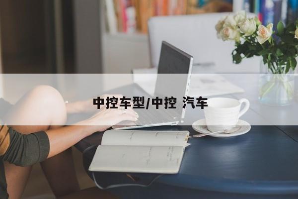 中控车型/中控 汽车