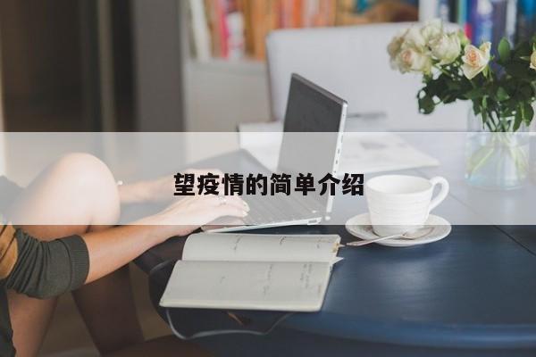 望疫情的简单介绍
