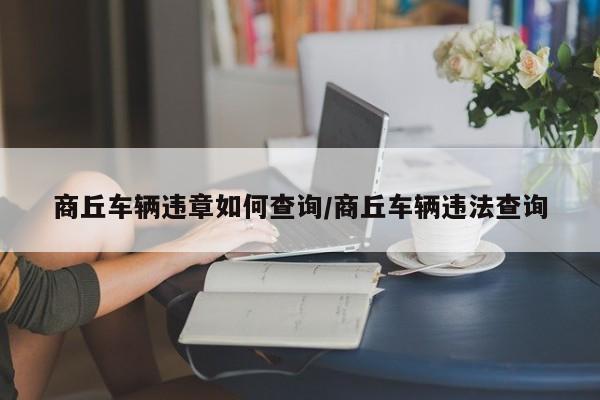 商丘车辆违章如何查询/商丘车辆违法查询