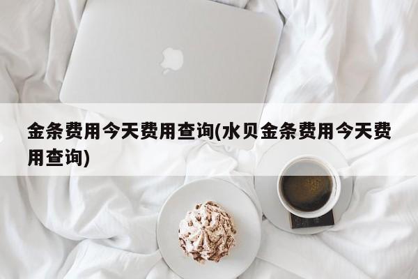 金条费用今天费用查询(水贝金条费用今天费用查询)