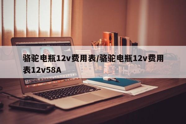 骆驼电瓶12v费用表/骆驼电瓶12v费用表12v58A