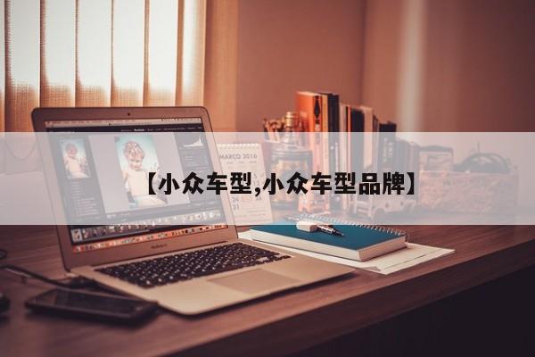 【小众车型,小众车型品牌】