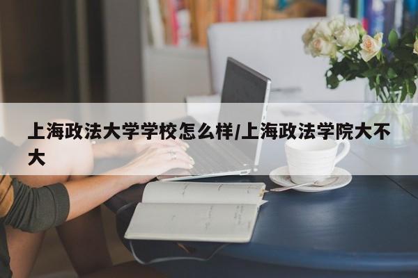 上海政法大学学校怎么样/上海政法学院大不大