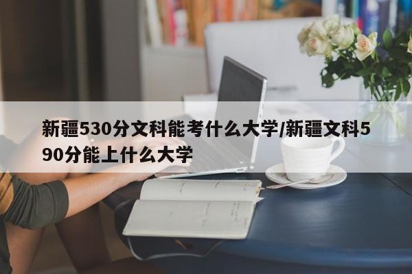 新疆530分文科能考什么大学/新疆文科590分能上什么大学