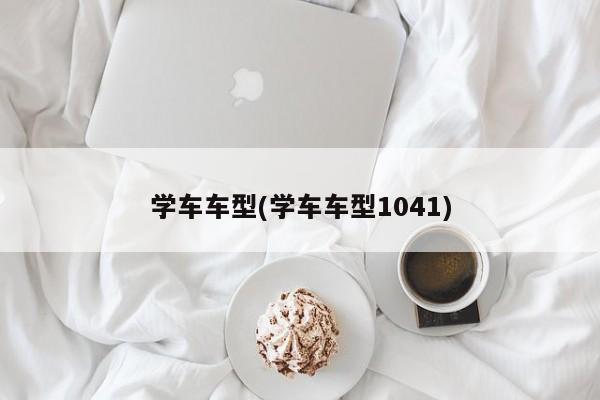 学车车型(学车车型1041)