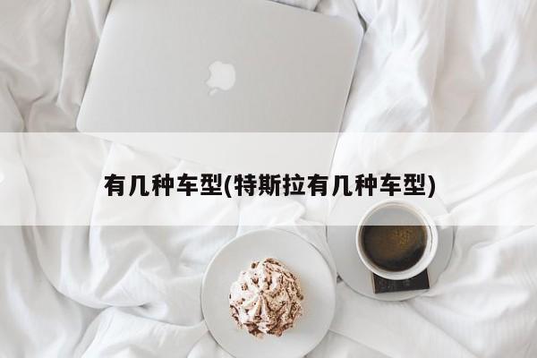 有几种车型(特斯拉有几种车型)