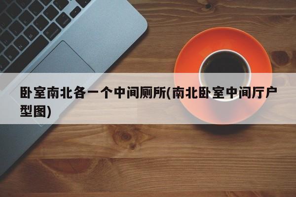 卧室南北各一个中间厕所(南北卧室中间厅户型图)