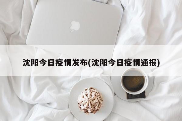 沈阳今日疫情发布(沈阳今日疫情通报)