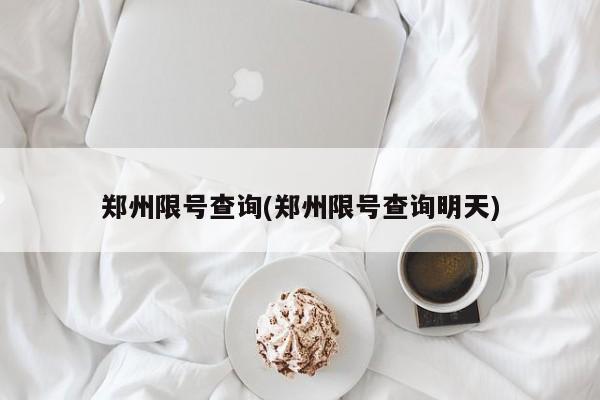郑州限号查询(郑州限号查询明天)