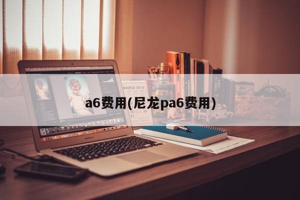 a6费用(尼龙pa6费用)