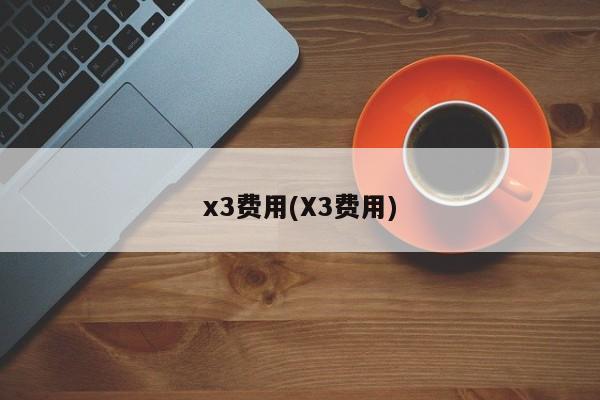 x3费用(X3费用)