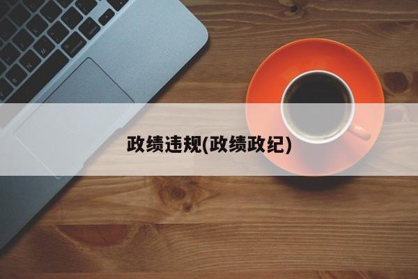 政绩违规(政绩政纪)