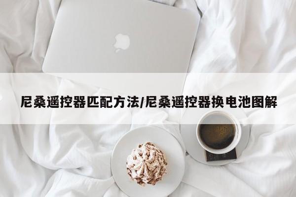 尼桑遥控器匹配方法/尼桑遥控器换电池图解