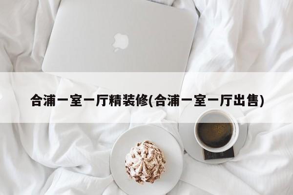 合浦一室一厅精装修(合浦一室一厅出售)