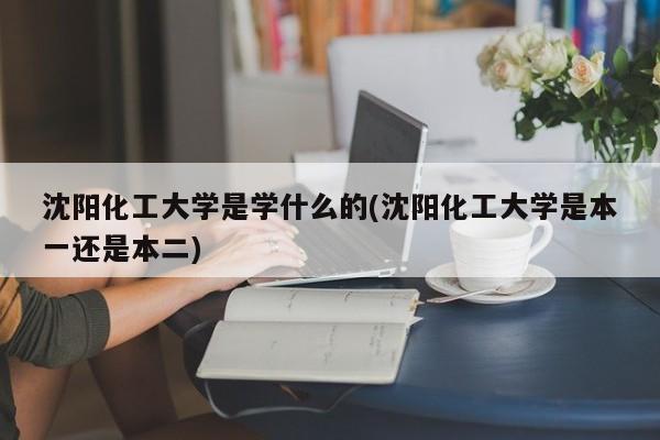 沈阳化工大学是学什么的(沈阳化工大学是本一还是本二)