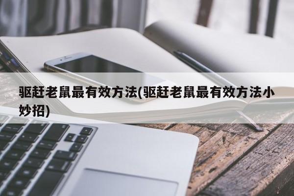 驱赶老鼠最有效方法(驱赶老鼠最有效方法小妙招)