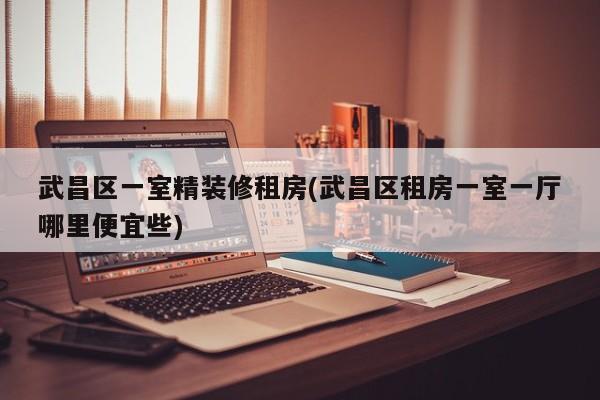 武昌区一室精装修租房(武昌区租房一室一厅哪里便宜些)