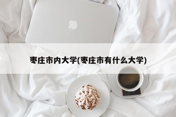 枣庄市内大学(枣庄市有什么大学)