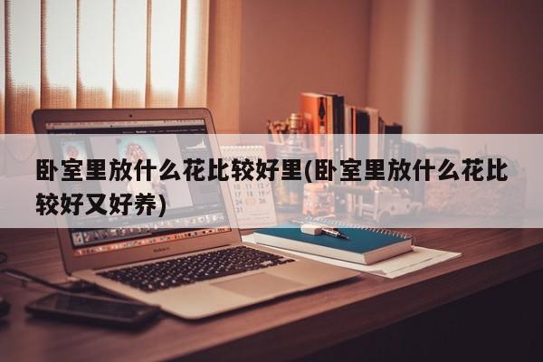 卧室里放什么花比较好里(卧室里放什么花比较好又好养)