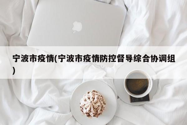 宁波市疫情(宁波市疫情防控督导综合协调组)