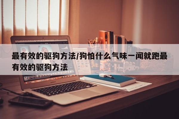 最有效的驱狗方法/狗怕什么气味一闻就跑最有效的驱狗方法