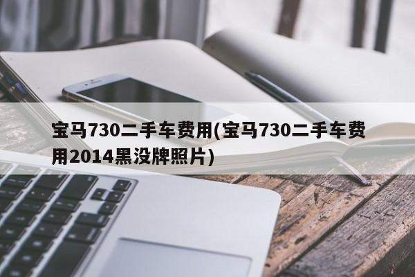 宝马730二手车费用(宝马730二手车费用2014黑没牌照片)