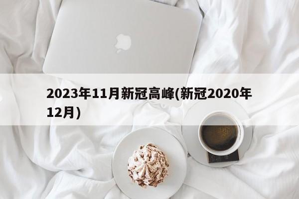 2023年11月新冠高峰(新冠2020年12月)